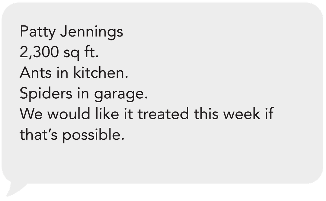 Pest Control Sarasota Residential & Commercial Prodigy Pest Solutions